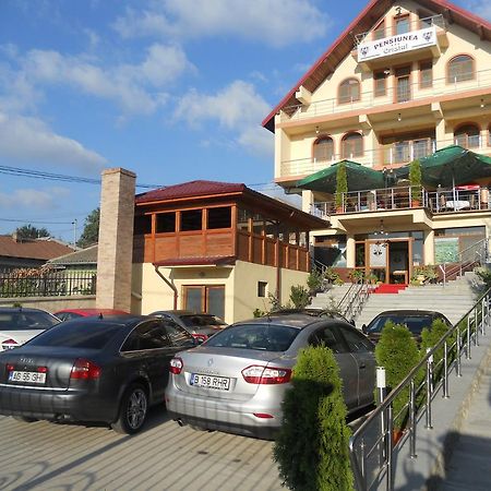 Pensiunea Cristal Tulcea Buitenkant foto