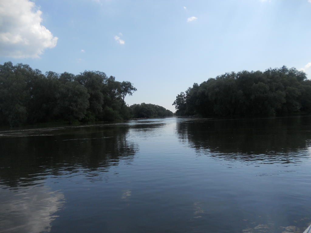 Pensiunea Cristal Tulcea Buitenkant foto