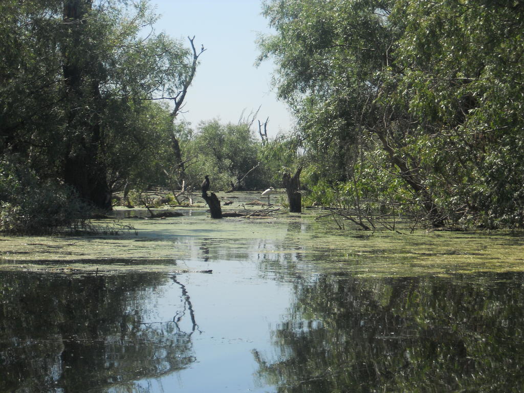 Pensiunea Cristal Tulcea Buitenkant foto