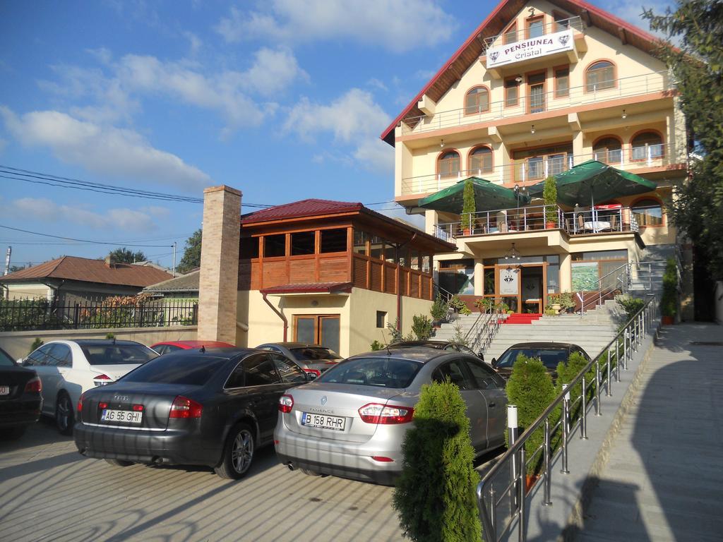Pensiunea Cristal Tulcea Buitenkant foto