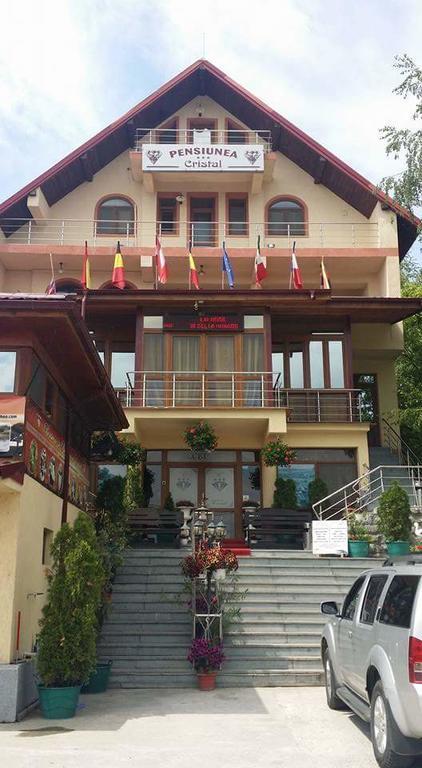 Pensiunea Cristal Tulcea Buitenkant foto